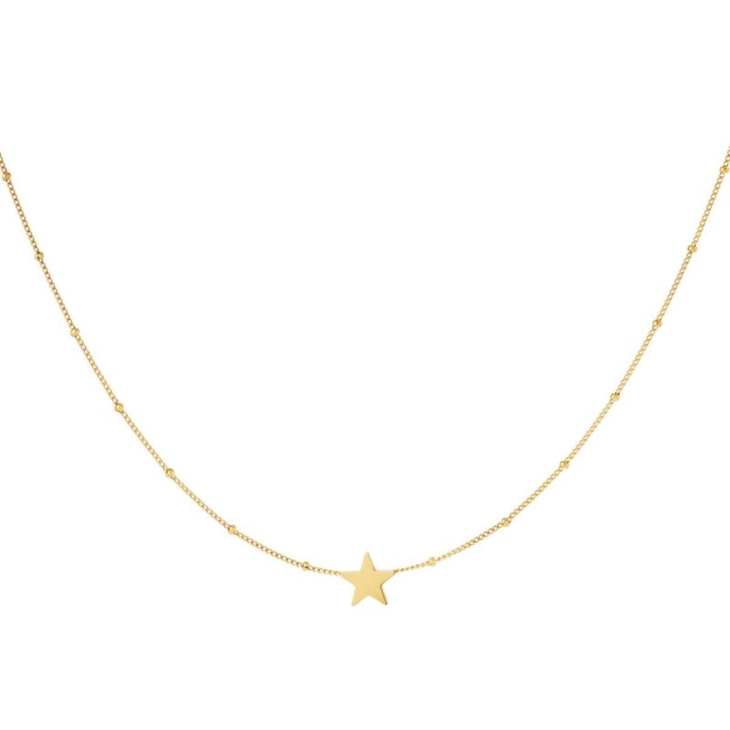 Charlery Ketting Ster minimalistisch goud